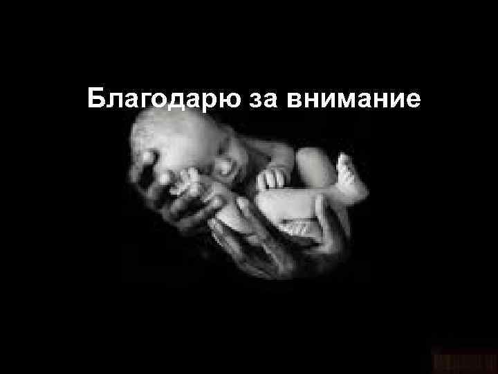 Благодарю за внимание 