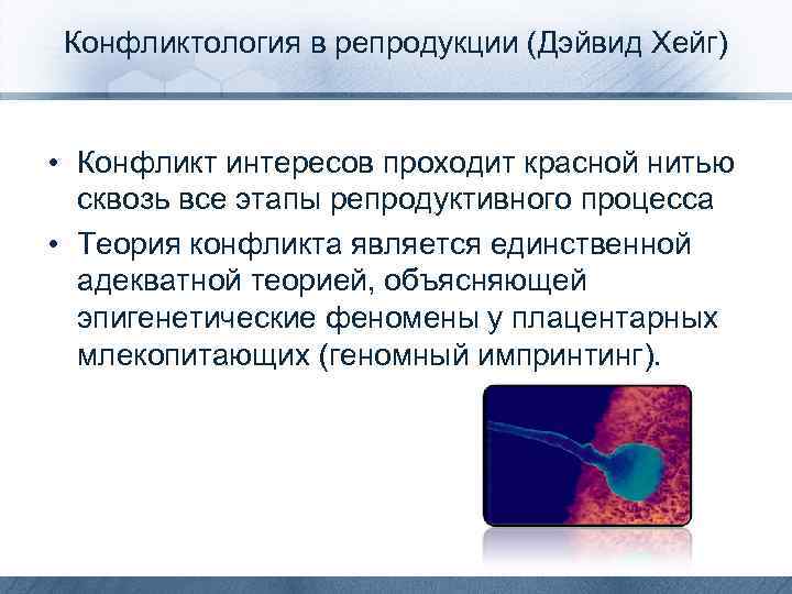 Конфликтология в репродукции (Дэйвид Хейг) • Конфликт интересов проходит красной нитью сквозь все этапы