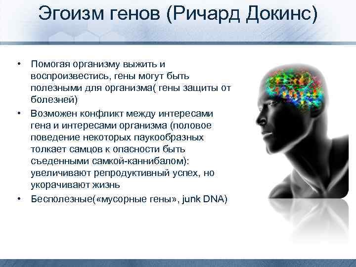 Эгоизм генов (Ричард Докинс) • Помогая организму выжить и воспроизвестись, гены могут быть полезными