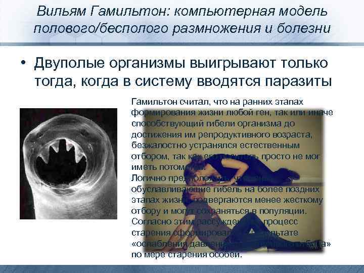 Вильям Гамильтон: компьютерная модель полового/бесполого размножения и болезни • Двуполые организмы выигрывают только тогда,