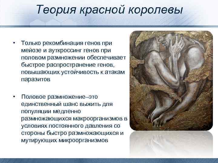 Теория красной королевы • Только рекомбинация генов при мейозе и ауткроссинг генов при половом