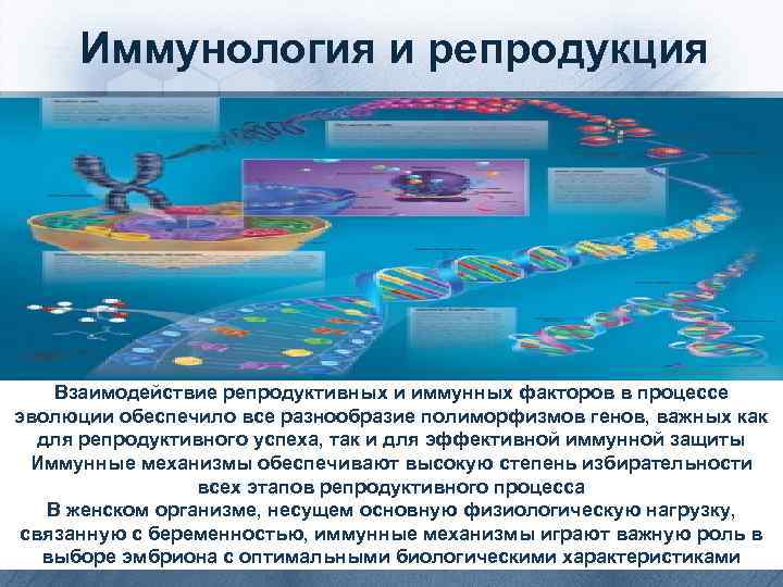 Иммунология и репродукция Взаимодействие репродуктивных и иммунных факторов в процессе эволюции обеспечило все разнообразие