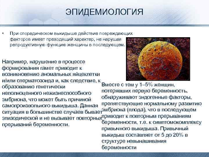 ЭПИДЕМИОЛОГИЯ • При спорадическом выкидыше действие повреждающих факторов имеет преходящий характер, не нарушая репродуктивную