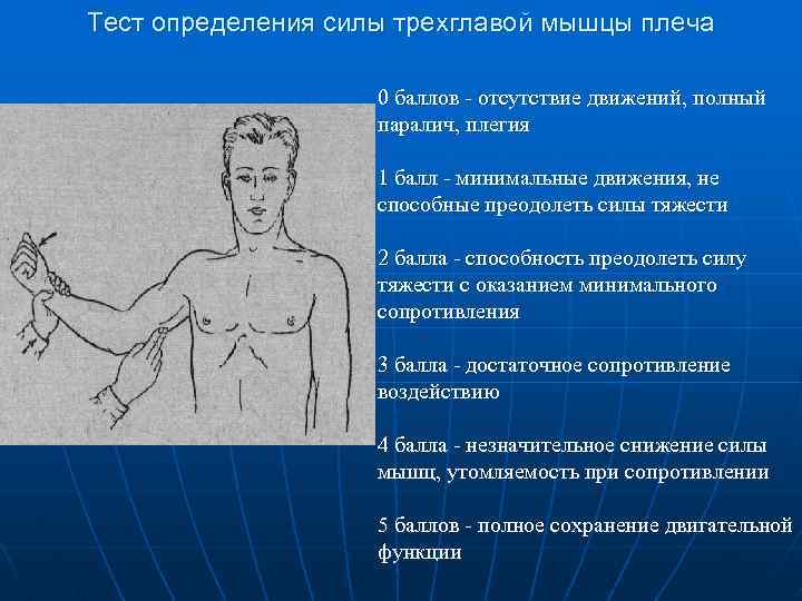 Паралич дыхательной мускулатуры развивается при отравлении. Тесты для оценки силы мышц. Степень развития мускулатуры плеча. Тест на мышечную силу. Определение степени развития мускулатуры измерение плеча.