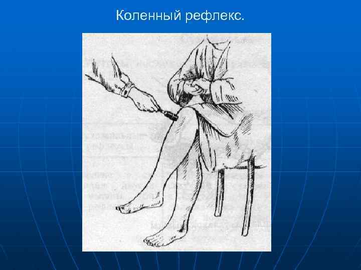 Коленный рефлекс. 
