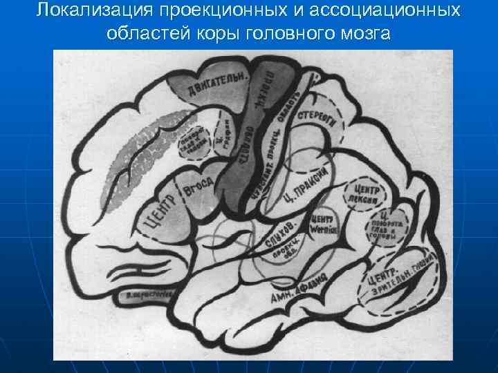 Нарушения схемы тела соматоагнозия