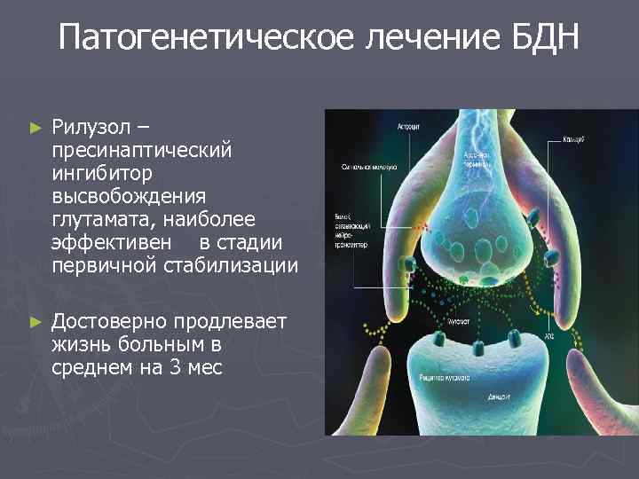 Патогенетическое лечение БДН ► Рилузол – пресинаптический ингибитор высвобождения глутамата, наиболее эффективен в стадии