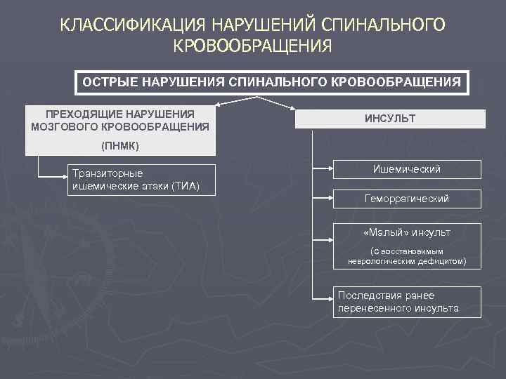 КЛАССИФИКАЦИЯ НАРУШЕНИЙ СПИНАЛЬНОГО КРОВООБРАЩЕНИЯ ОСТРЫЕ НАРУШЕНИЯ СПИНАЛЬНОГО КРОВООБРАЩЕНИЯ ПРЕХОДЯЩИЕ НАРУШЕНИЯ МОЗГОВОГО КРОВООБРАЩЕНИЯ ИНСУЛЬТ (ПНМК)