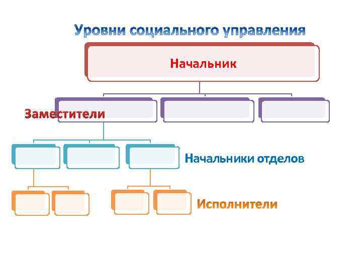 Начальники отделов 