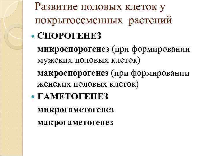 Развитие половых клеток у покрытосеменных растений СПОРОГЕНЕЗ микроспорогенез (при формировании мужских половых клеток) макроспорогенез