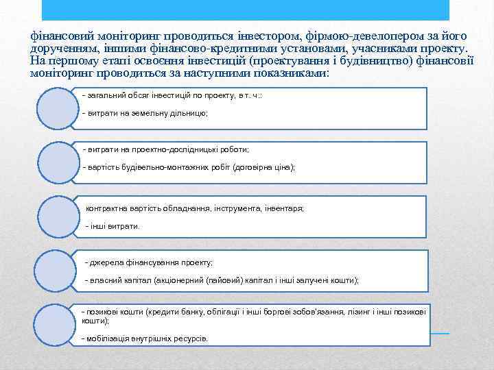 фінансовий моніторинг проводиться інвестором, фірмою-девелопером за його дорученням, іншими фінансово-кредитними установами, учасниками проекту. На