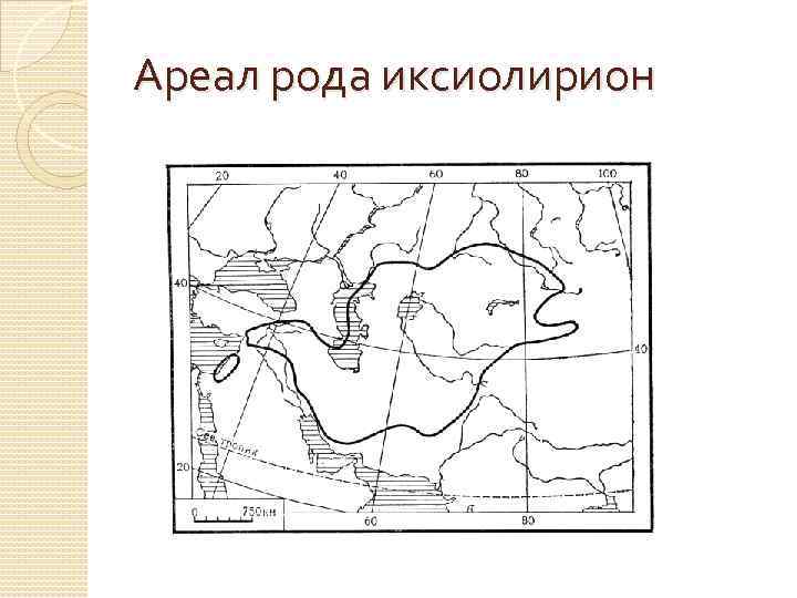 Ареал рода иксиолирион 