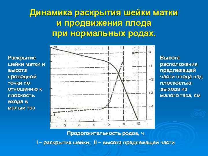 Динамика раскрытия шейки матки и продвижения плода при нормальных родах. Раскрытие шейки матки и