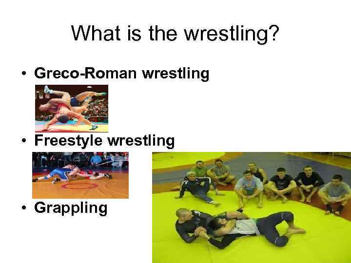 What is the wrestling? • Greco-Roman wrestling • Freestyle wrestling • Grappling 