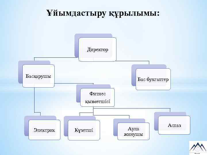Ұйымдастыру құрылымы: Директор Басқарушы Бас бухгалтер Фитнес қызметшісі Электрик Күзетші Аула жинушы Аспаз 