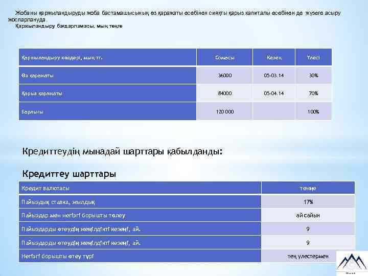 Жобаны қаржыландыруды жоба бастамашысының өз қаражаты есебінен сияқты қарыз капиталы есебінен де жүзеге асыру