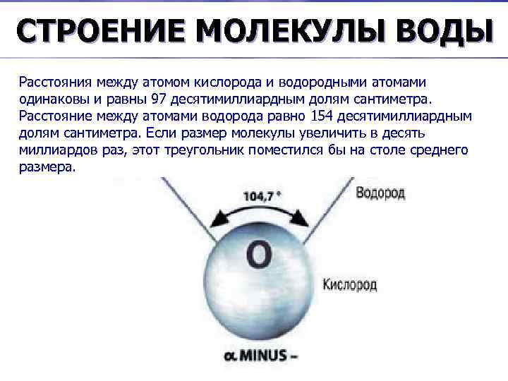 СТРОЕНИЕ МОЛЕКУЛЫ ВОДЫ Расстояния между атомом кислорода и водородными атомами В молекуле воды атомы