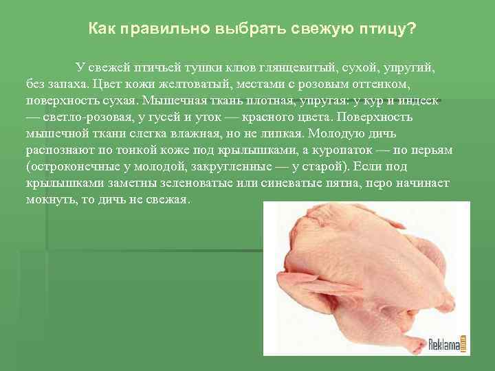 Как правильно выбрать свежую птицу? У свежей птичьей тушки клюв глянцевитый, сухой, упругий, без