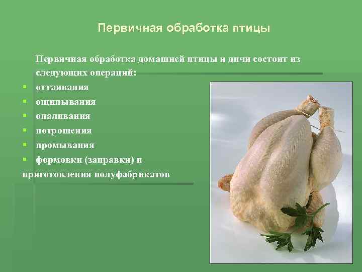 Первичная обработка птицы Первичная обработка домашней птицы и дичи состоит из следующих операций: §