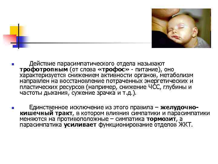 n n Действие парасимпатического отдела называют трофотропным (от слова «трофос» - питание), оно характеризуется