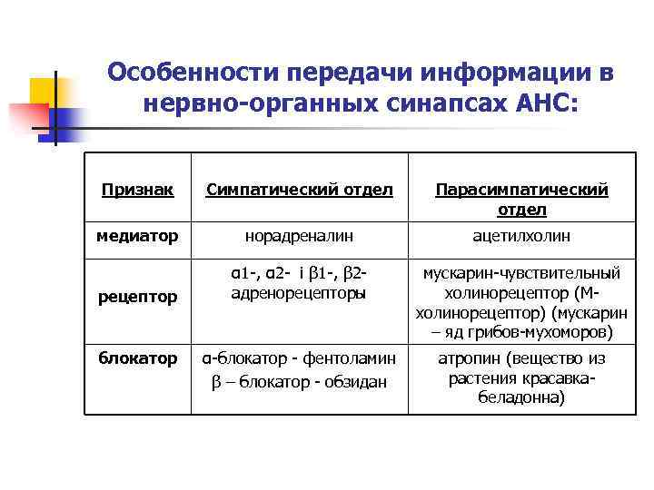 Особенности передачи информации в нервно-органных синапсах АНС: Признак Симпатический отдел Парасимпатический отдел медиатор норадреналин