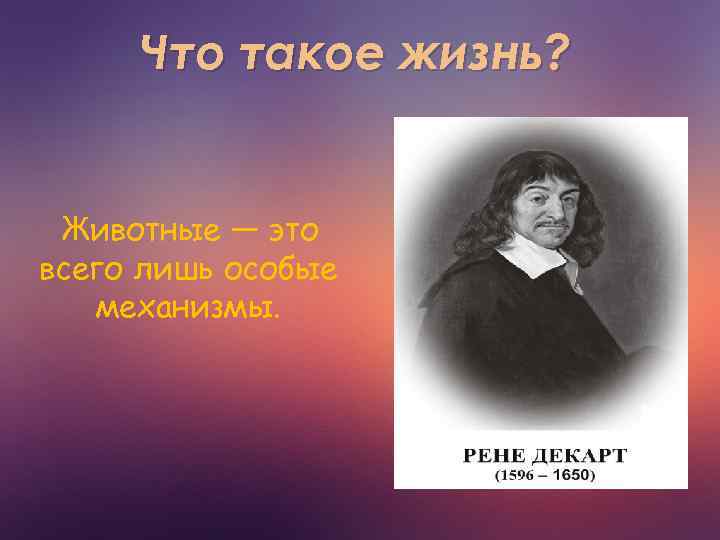 Что такое жизнь? Животные — это всего лишь особые механизмы. 