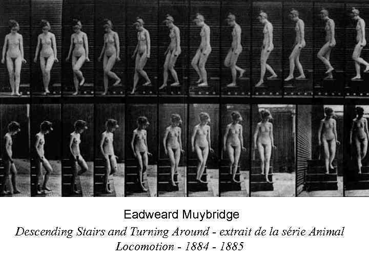 Eadweard Muybridge Descending Stairs and Turning Around - extrait de la série Animal Locomotion