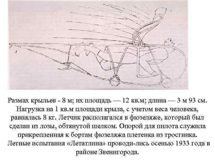 Размах крыльев 8 м; их площадь — 12 кв. м; длина — 3 м