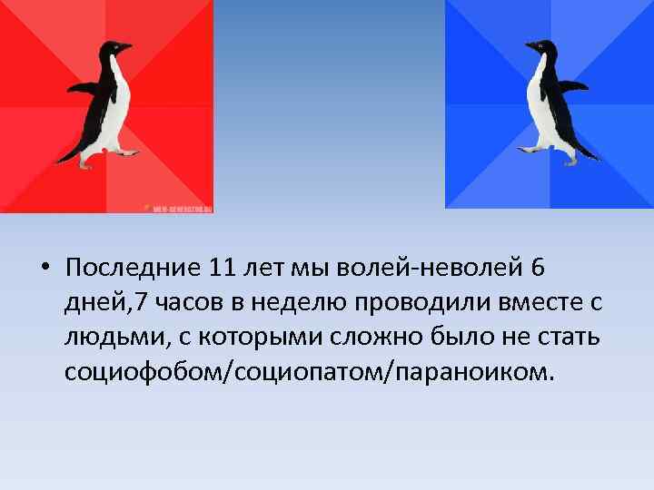  • Последние 11 лет мы волей-неволей 6 дней, 7 часов в неделю проводили