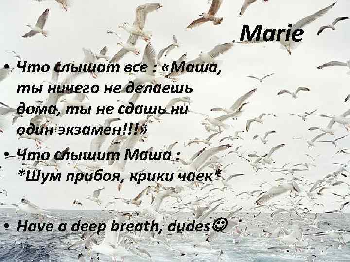 Marie • Что слышат все : «Маша, ты ничего не делаешь дома, ты не