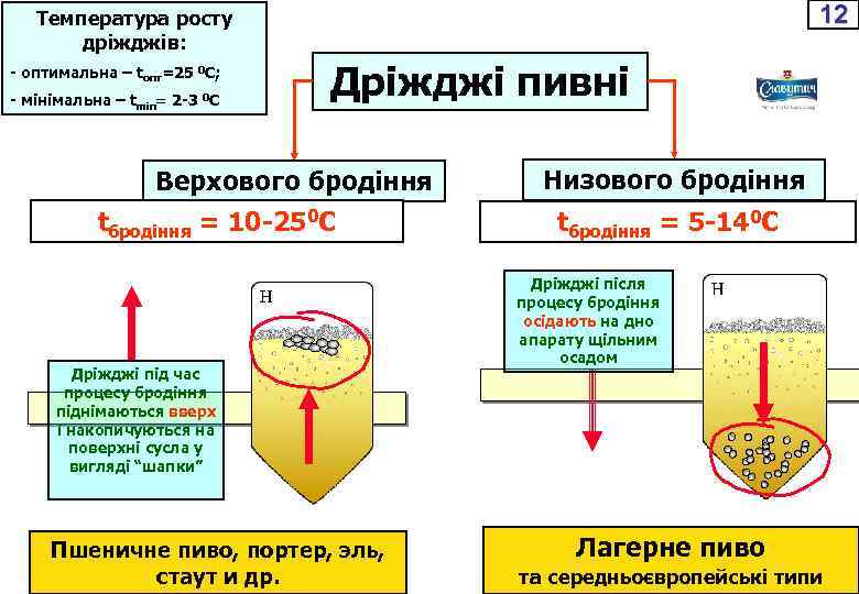 12 Температура росту дріжджів: - оптимальна – tопт=25 0 С; - мінімальна – tmin=