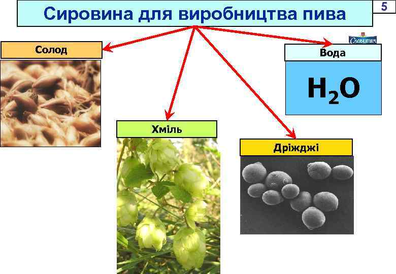 Сировина для виробництва пива Солод Вода Н 2 О Хміль Дріжджі 5 