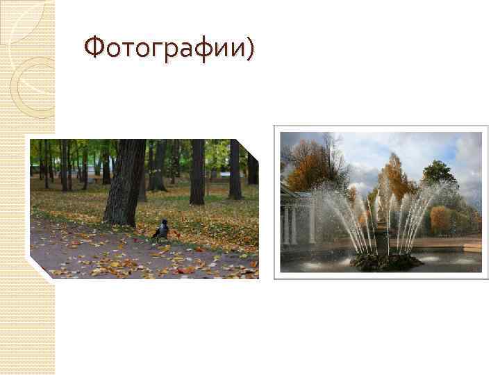 Фотографии) 