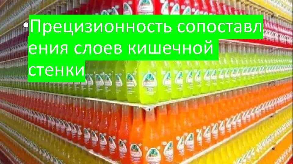  • Прецизионность сопоставл ения слоев кишечной стенки 