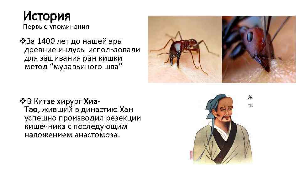 История Первые упоминания v. За 1400 лет до нашей эры древние индусы использовали для