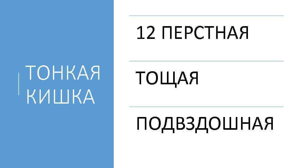 12 ПЕРСТНАЯ ТОНКАЯ КИШКА ТОЩАЯ ПОДВЗДОШНАЯ 