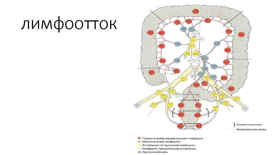 лимфоотток 