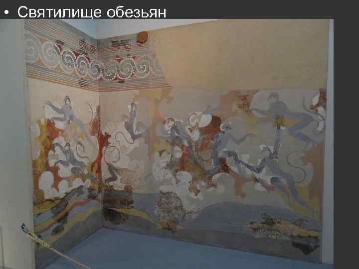  • Святилище обезьян 