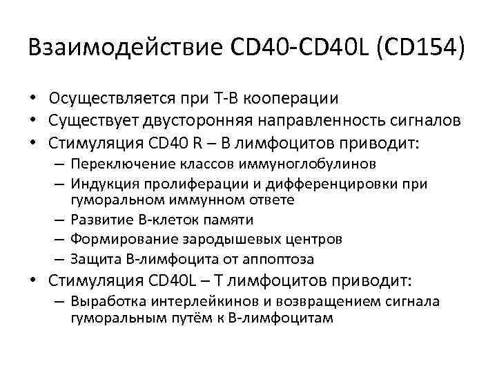 Взаимодействие CD 40 -CD 40 L (CD 154) • Осуществляется при Т-В кооперации •