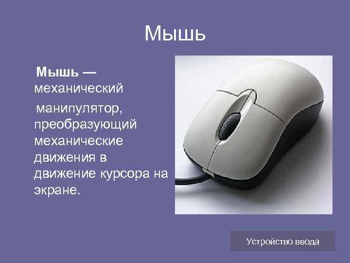Мышь — механический манипулятор, преобразующий механические движения в движение курсора на экране. Устройство ввода