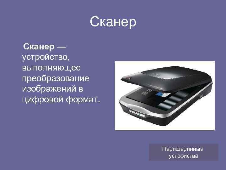Сканер — устройство, выполняющее преобразование изображений в цифровой формат. Периферийные устройства 
