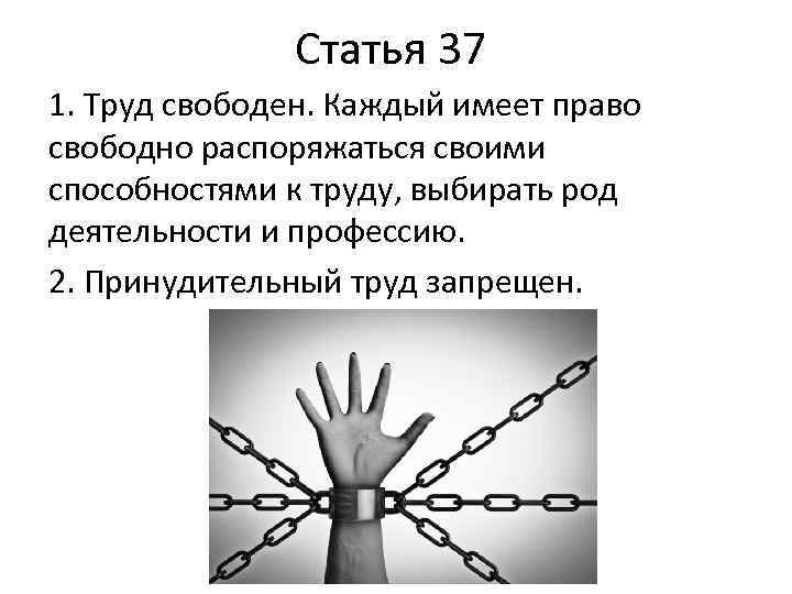 Статья 37 1. Труд свободен. Каждый имеет право свободно распоряжаться своими способностями к труду,