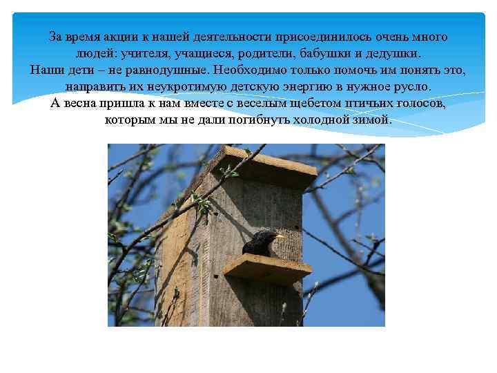 За время акции к нашей деятельности присоединилось очень много людей: учителя, учащиеся, родители, бабушки