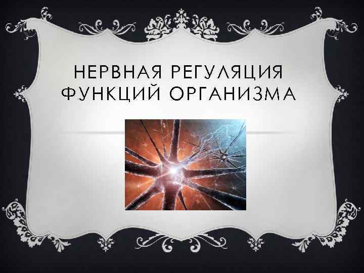 НЕРВНАЯ РЕГУЛЯЦИЯ ФУНКЦИЙ ОРГАНИЗМА 