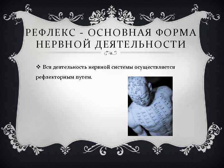 РЕФЛЕКС - ОСНОВНАЯ ФОРМА НЕРВНОЙ ДЕЯТЕЛЬНОСТИ v Вся деятельность нервной системы осуществляется рефлекторным путем.