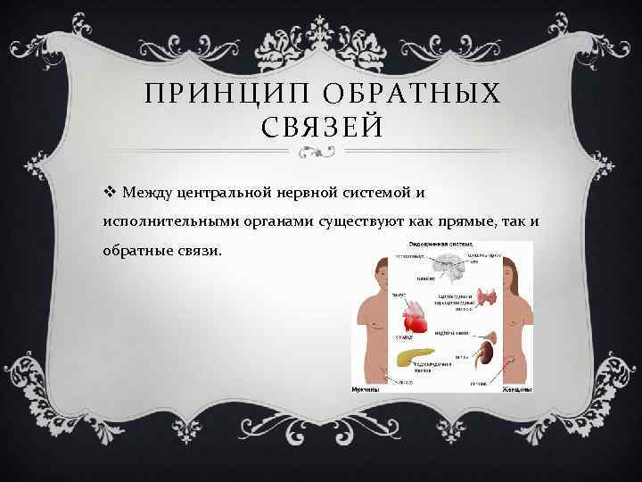 ПРИНЦИП ОБРАТНЫХ СВЯЗЕЙ v Между центральной нервной системой и исполнительными органами существуют как прямые,