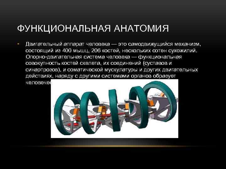 ФУНКЦИОНАЛЬНАЯ АНАТОМИЯ • Двигательный аппарат человека — это самодвижущийся механизм, состоящий из 400 мышц,