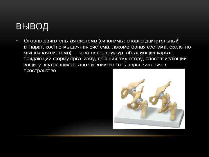 ВЫВОД • Опорно-двигательная система (синонимы: опорно-двигательный аппарат, костно-мышечная система, локомоторная система, скелетномышечная система) —