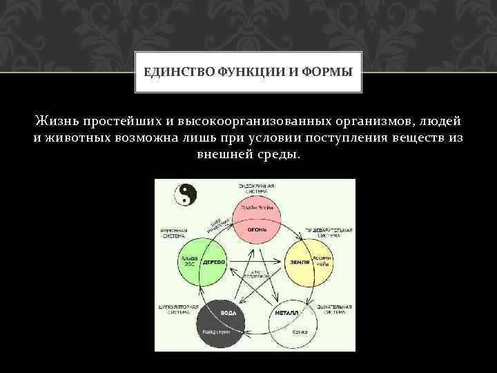 Единство организма и среды презентация