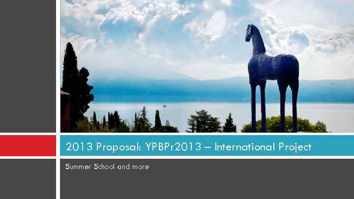 2013 Proposal: YPBPr 2013 – International Project Summer School and more 